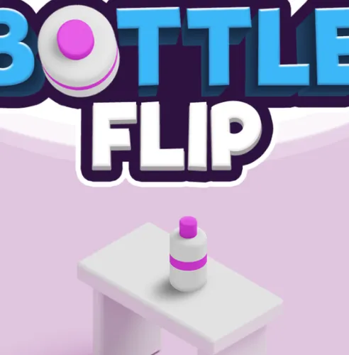 Bottle Flip 3D